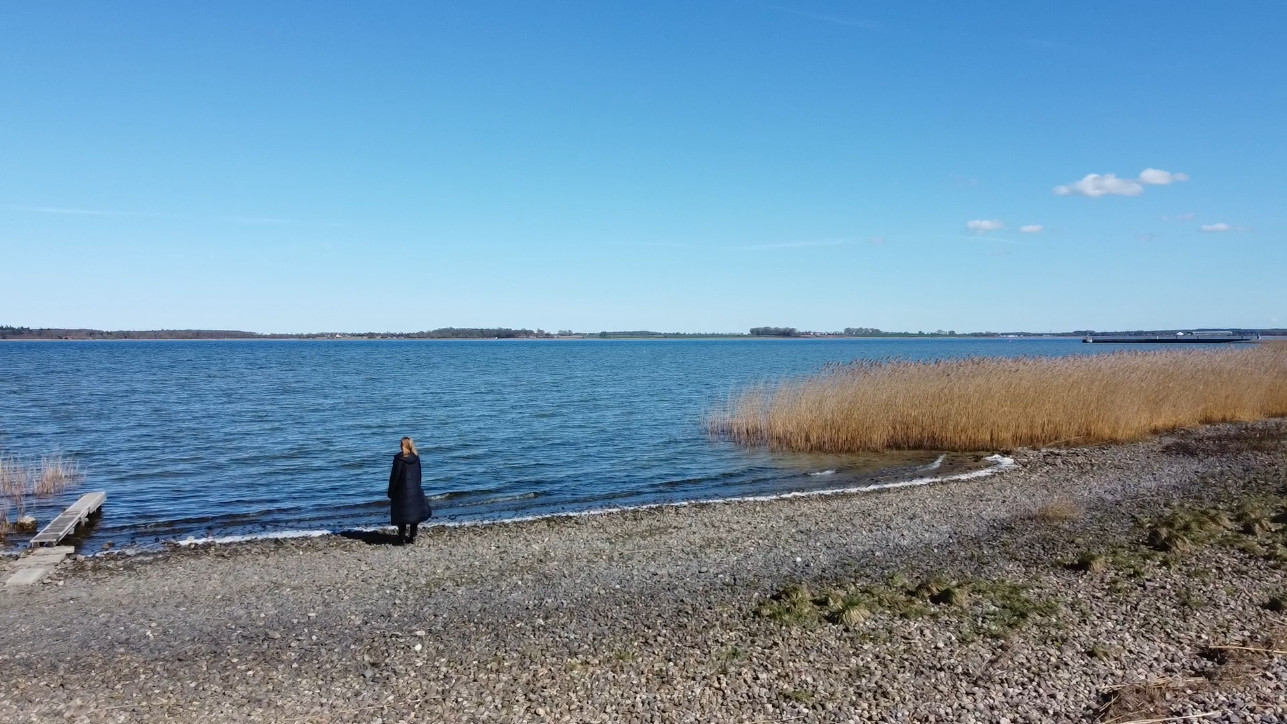AMR Forschung Greifswald